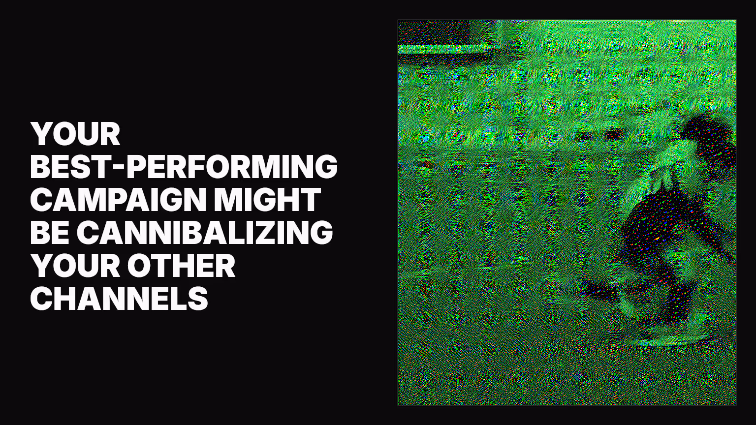 Your best-performing campaign might be cannibalizing your other channels