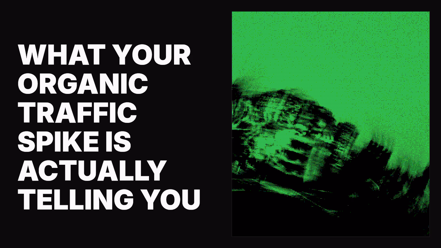 What your organic traffic spike is actually telling you