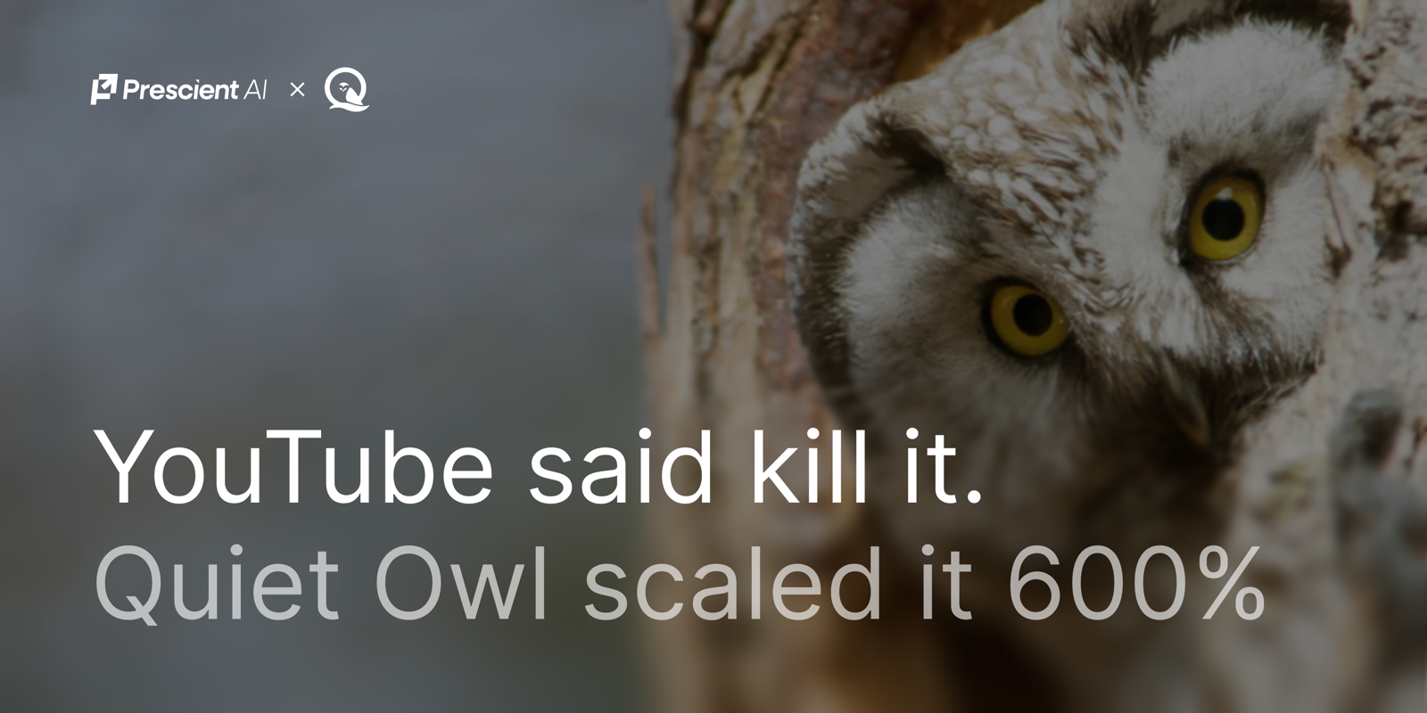 The memes about OpenAI Ads have not aged well. Real accounts are hitting 1.49x.