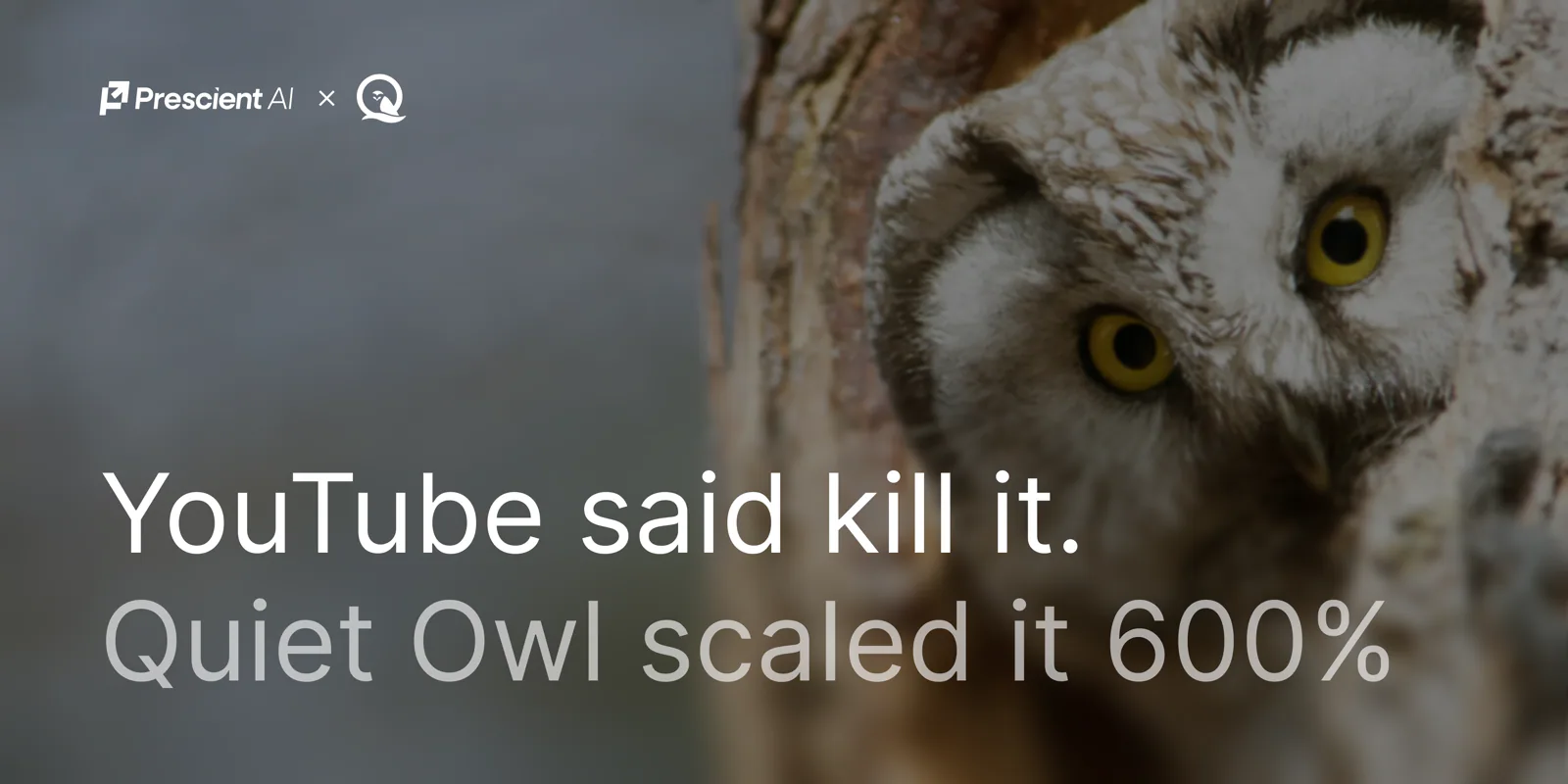 The memes about OpenAI Ads have not aged well. Real accounts are hitting 1.49x.